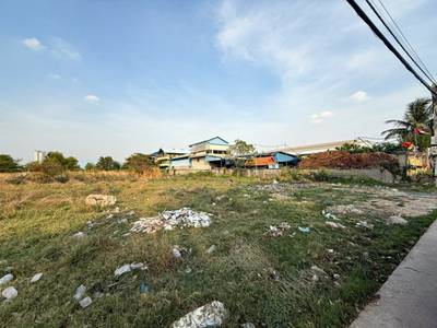 Lot Na wynajem w Phnom Penh Thmey, Sen Sok, Phnom Penh