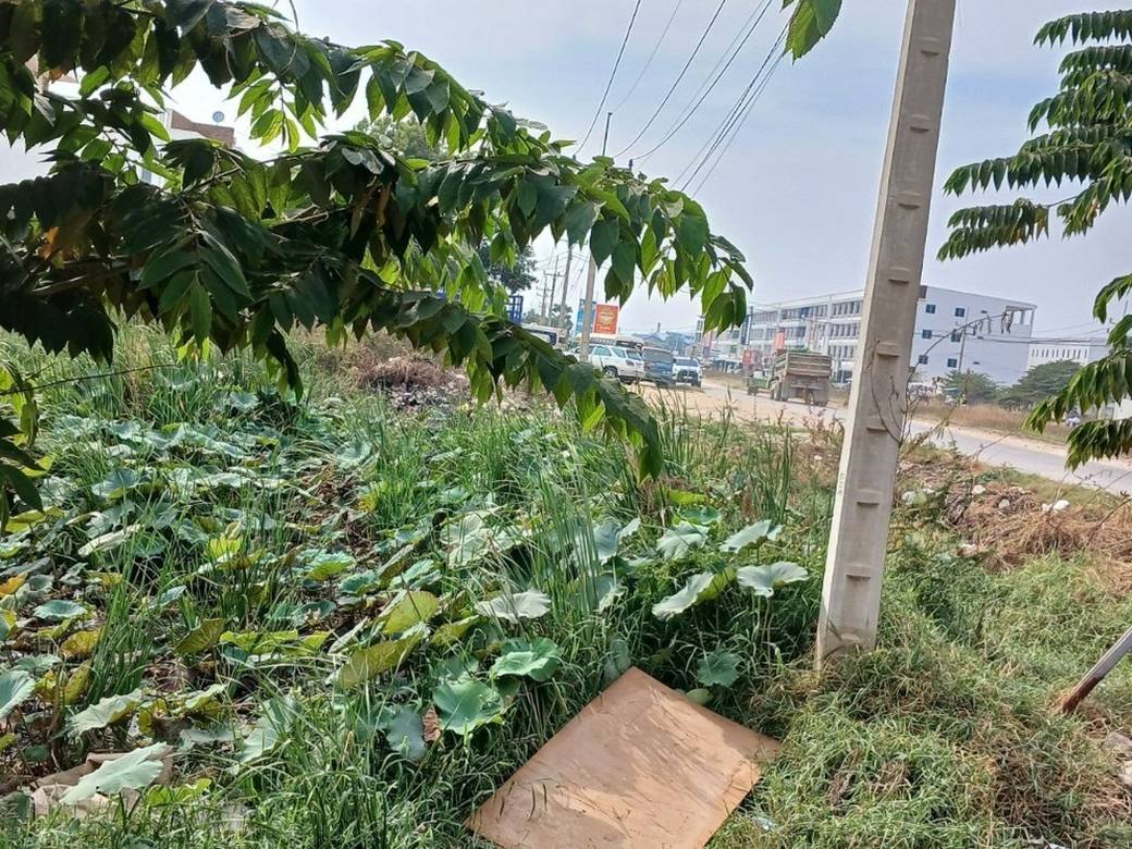 대지면적 2,528㎡ 토지 매매