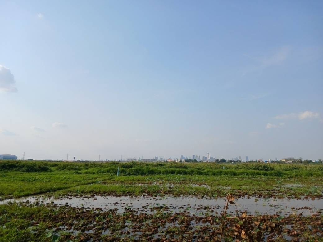 2,301平方米土地面积的土地出售