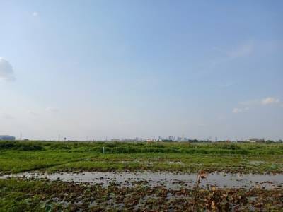 2,301平方米土地面积的土地出售