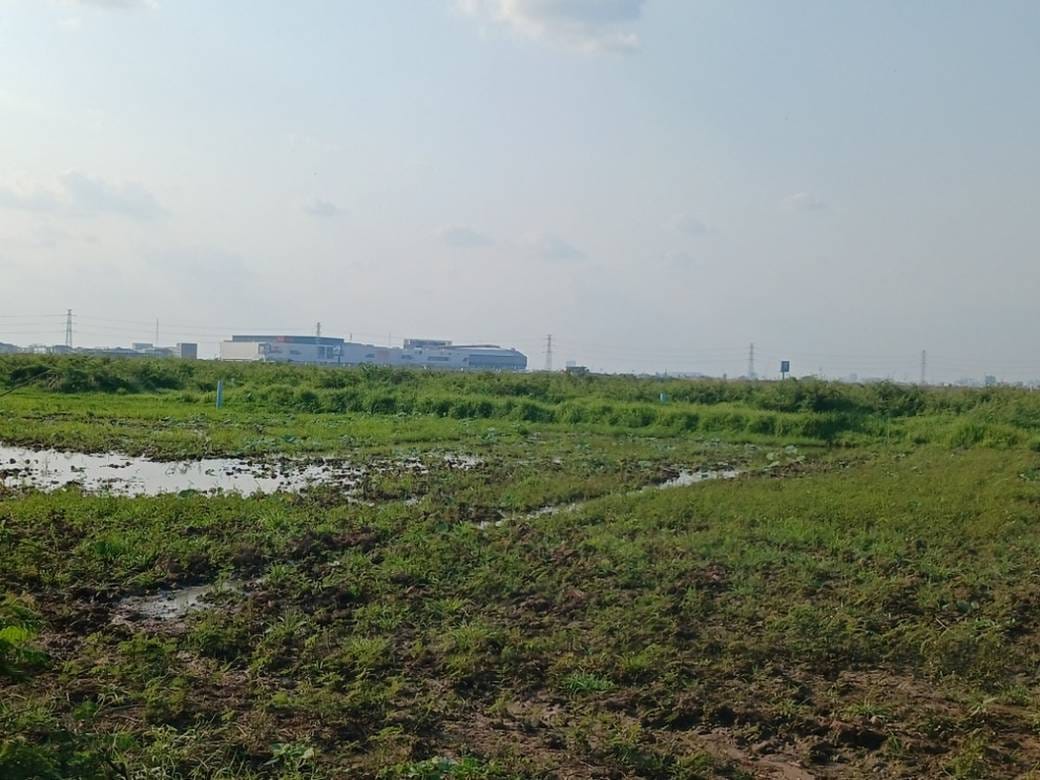 土地出售，位于, Prek Ruessey村, 大金欧市, 干拉省