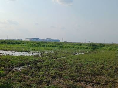 土地出售，位于, Prek Ruessey村, 大金欧市, 干拉省