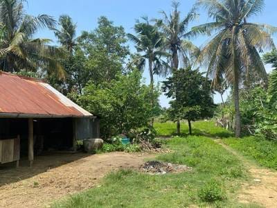 House and lot Na prodej in Rung Roeang, Thpong, Kampong Speu