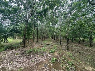 ที่ดิน สำหรับขาย ขนาดที่ดิน 60,000 ตร.ม.