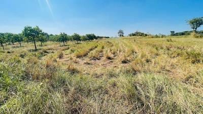 Relief À vendre de 4,500 m² de terrain