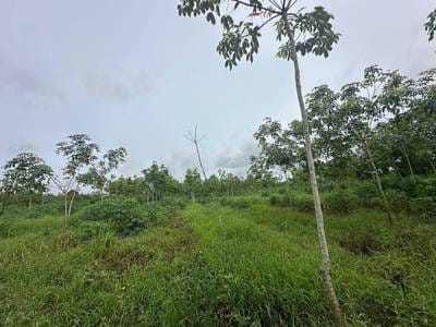 ที่ดิน สำหรับขาย ใน สแรจา, สนวล, กระแจะ