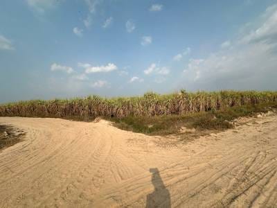 ที่ดิน สำหรับขาย ใน Svay Teab $60,450
