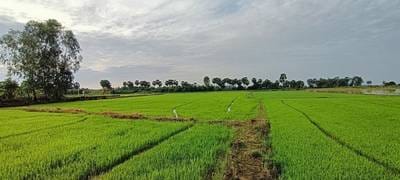 Lvea Aem土地出售，价格$171,000