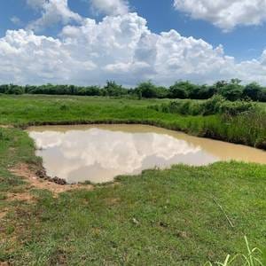 ที่ดิน สำหรับขาย ขนาดที่ดิน 31,037 ตร.ม.