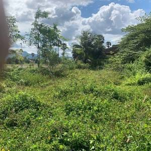180平方米土地面积的土地出售