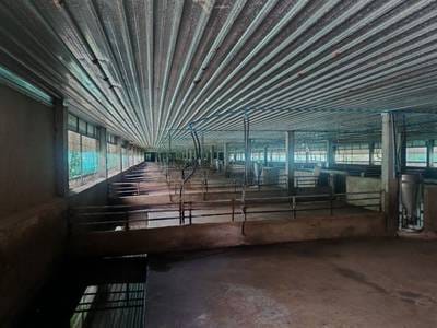 Warehouse For Sale in Prey Vihear, Kong Pisei, Kampong Speu