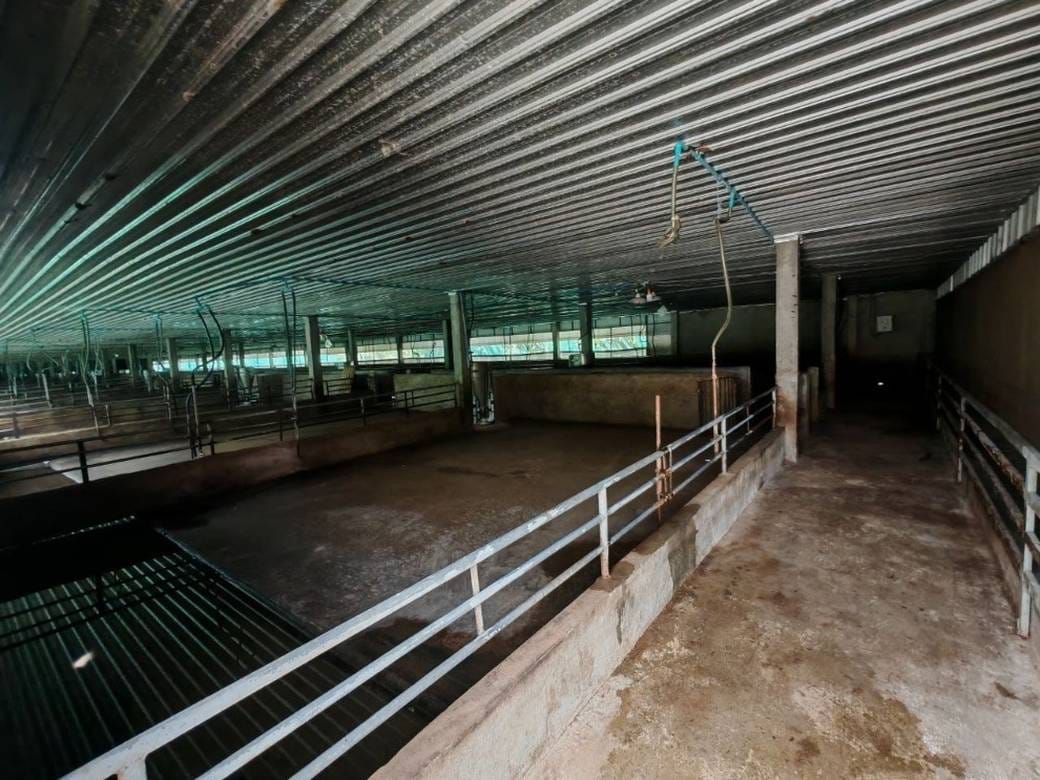 Warehouse For Sale in Kong Pisei $248,000