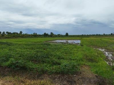 4,560 sqm Land Size Земля Для Продажи