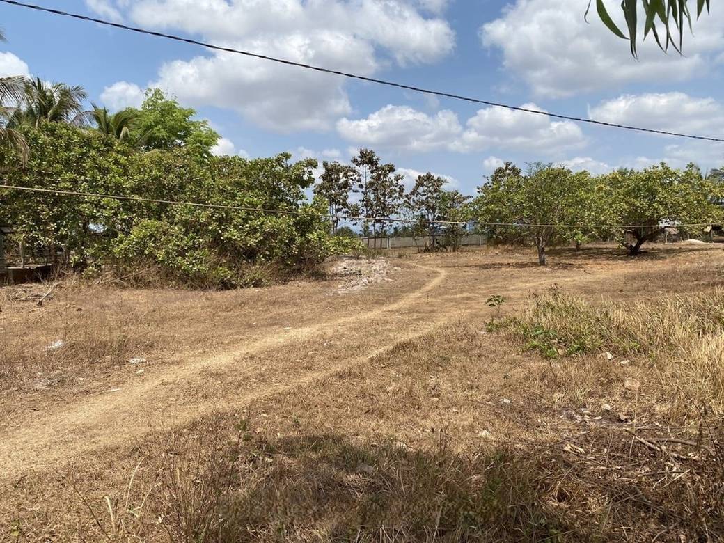 1,950 sqm Land Size Lot For Sale
