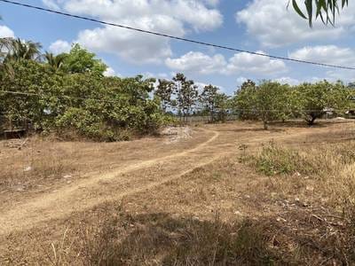 1,950 sqm Land Size Lot For Sale