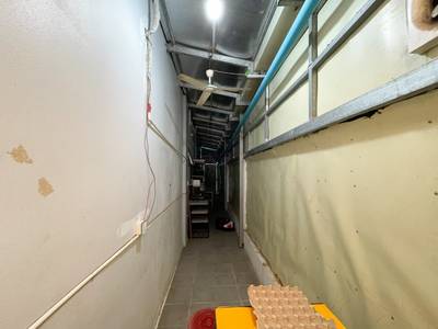 Borey Peng Huoth: The Star Platinum Mercurean I | ลิงก์เฮ้าส์ For Sale & Rent พื้นที่ใช้สอย 11-216 ตร.ม. ใน Chbar Ampov