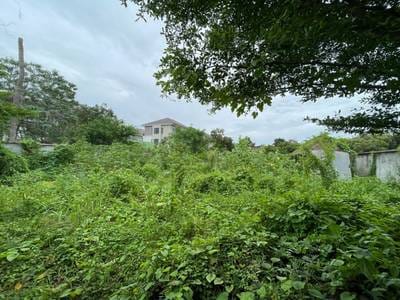 Chbar Ampov土地出售，价格$1