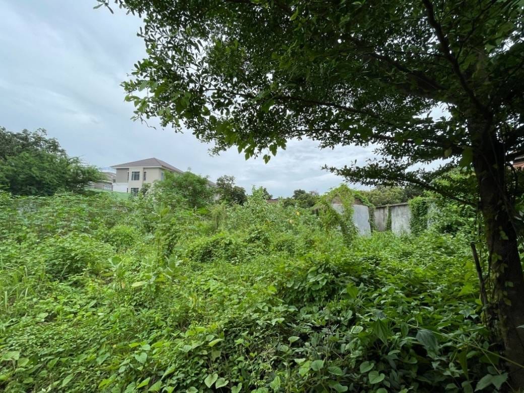 土地出售，位于, Veal Sbov镇, 铁桥头区, 金边