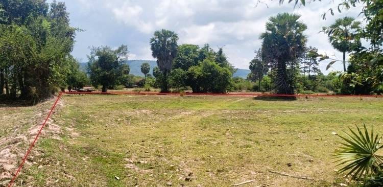 Land For Sale in Chheu Tom, Krakor, Pursat