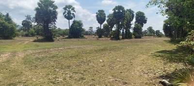 Lot For Sale in Chheu Tom, Krakor, Pursat