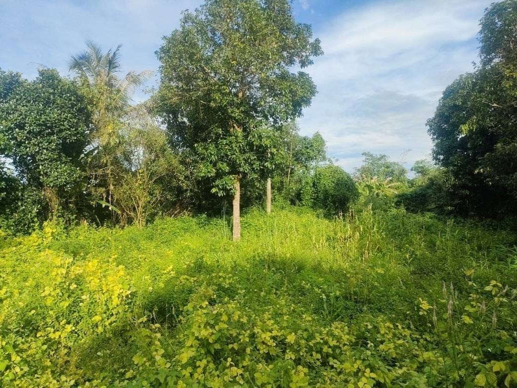 Svay Leuの土地売り物件 $30,000