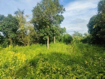 Svay Leuの土地売り物件 $30,000