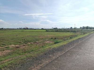 Lot សំរាប់លក់ នៅ ព្រីងជ្រំ, ជើងព្រៃ, កំពង់ចាម