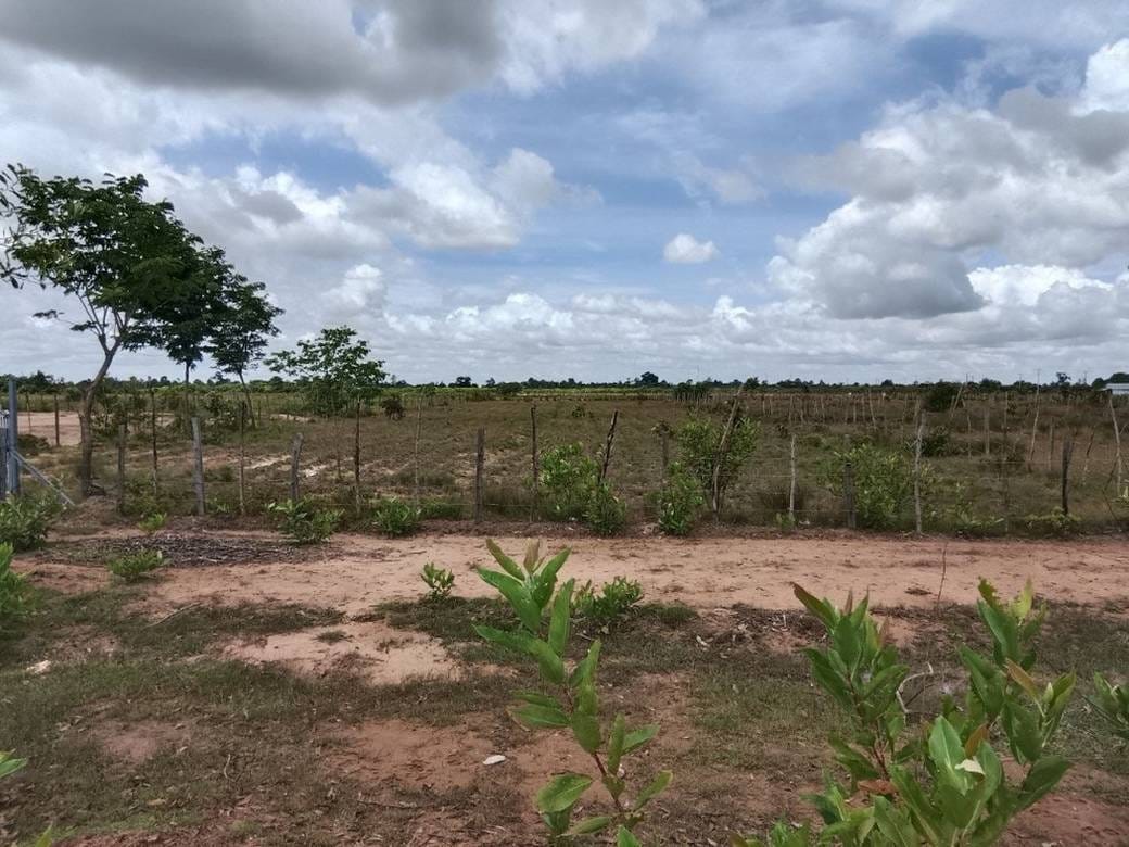 ដី សំរាប់លក់ ទំហំដី 4,775 ម៉ែត្រការ៉េ