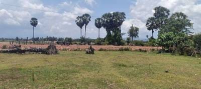 1,480 sqm Land Size Lot For Sale