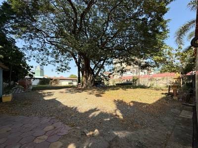 3,700 sqm Land Size Lot For Rent for $20,000