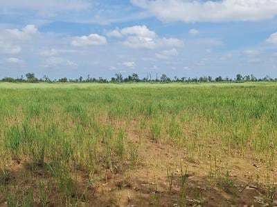41,394.3 sqm Land Size Lot For Sale