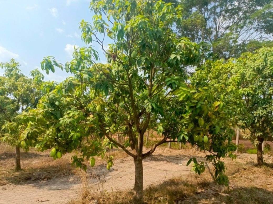 28,345 sqm Land Size Lot For Sale
