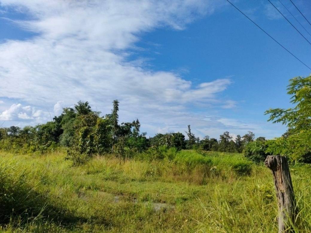 2,574 sqm Land Size Pozemky Na prodej