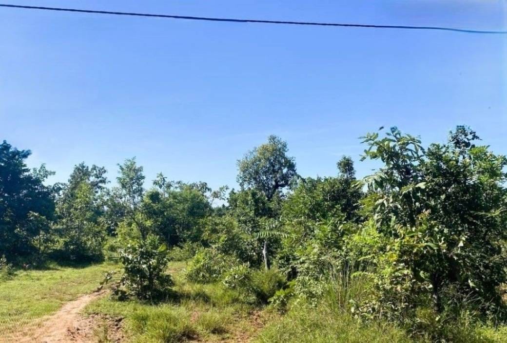 Lot For Sale in Kampong Pranak, Preah Vihea, Preah Vihear
