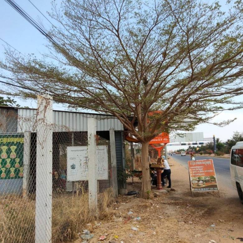House and lot Na prodej in Tang Krang, Batheay, Kampong Cham
