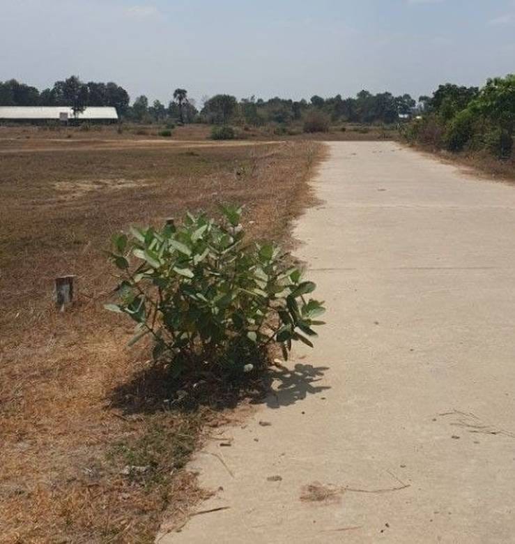 Lot For Sale in Angk Snuol $7,000