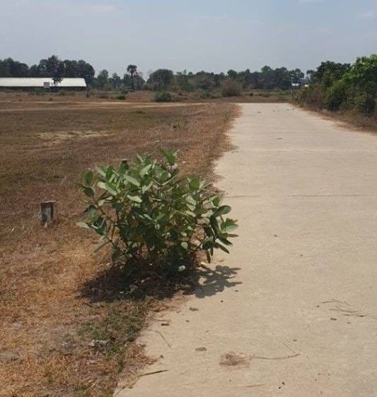 Lot For Sale in Angk Snuol $7,000