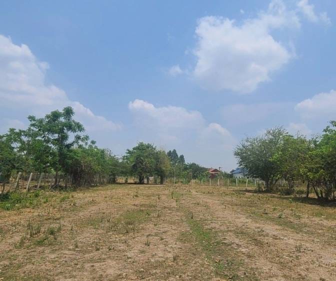 Działka Na sprzedaż w Ta Krei, Kamrieng, Battambang