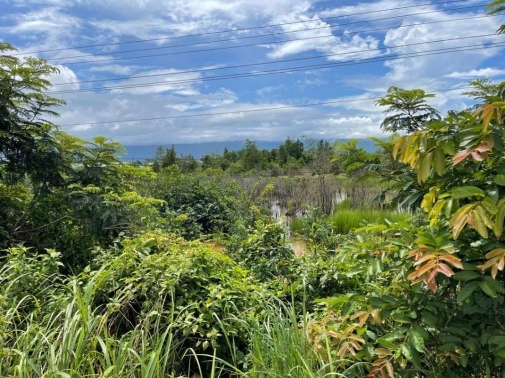 Pozemky Na prodej in Ta Ney, Prey Nob, Sihanoukville