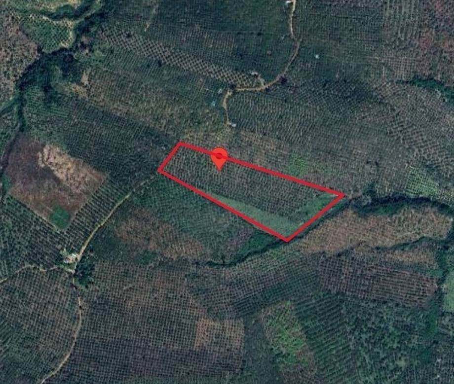 Boeung Lvea Lot For Sale in Boeung Lvea