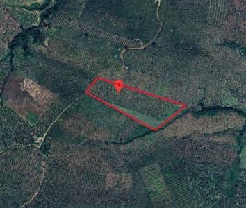Boeung Lvea Lot For Sale in Boeung Lvea