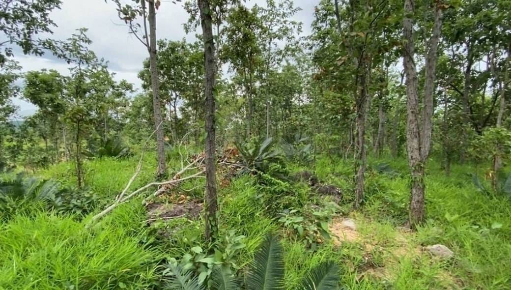 Lot សំរាប់លក់ នៅRotonak Mondol តម្លៃ $200,000