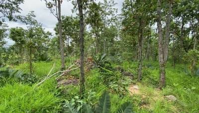 Lot សំរាប់លក់ នៅRotonak Mondol តម្លៃ $200,000