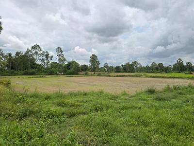 ដី សំរាប់លក់ នៅKandal Stueng តម្លៃ $255,000