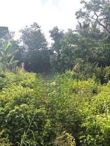 Działka Na sprzedaż w Sala Kamraeuk, Siem Reap, Siem Reap