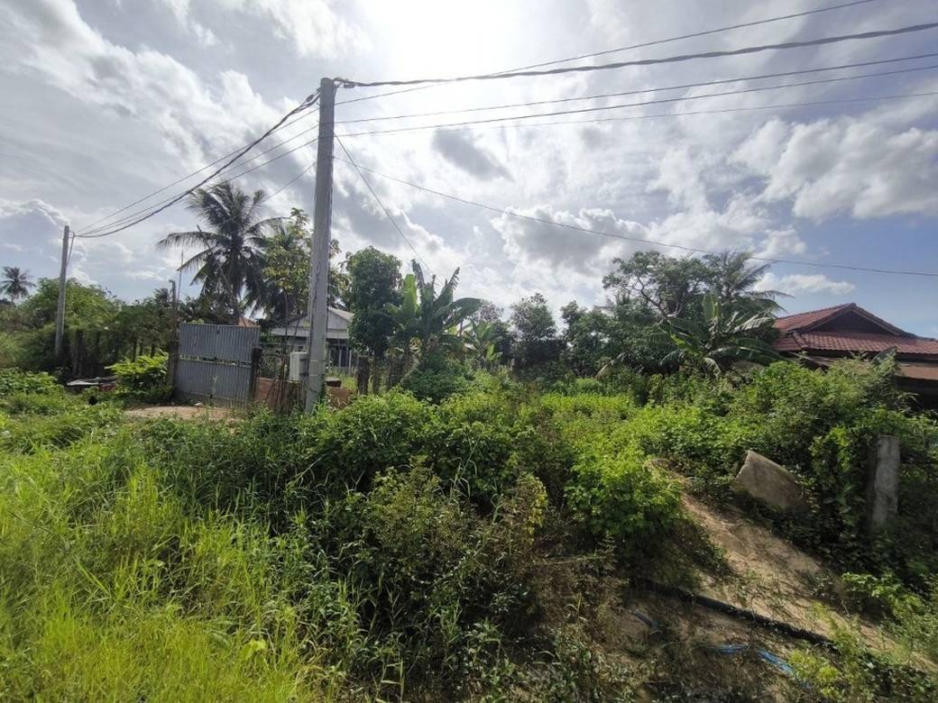 Działka Na sprzedaż w Siem Reap $280