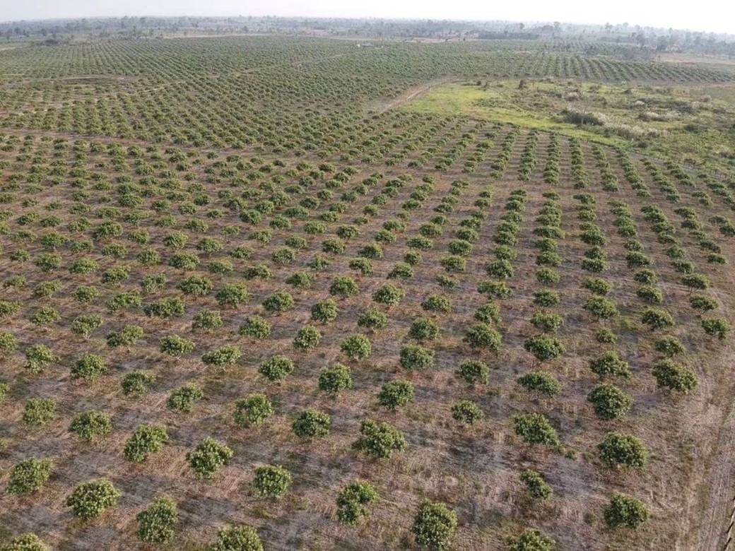 Terrain agricole À vendre de 1,970,000 m² de terrain