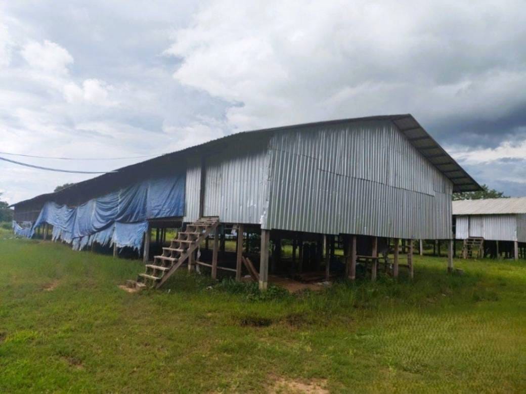 House and lot សំរាប់លក់ ទំហំដី 28,292.5 ម៉ែត្រការ៉េ
