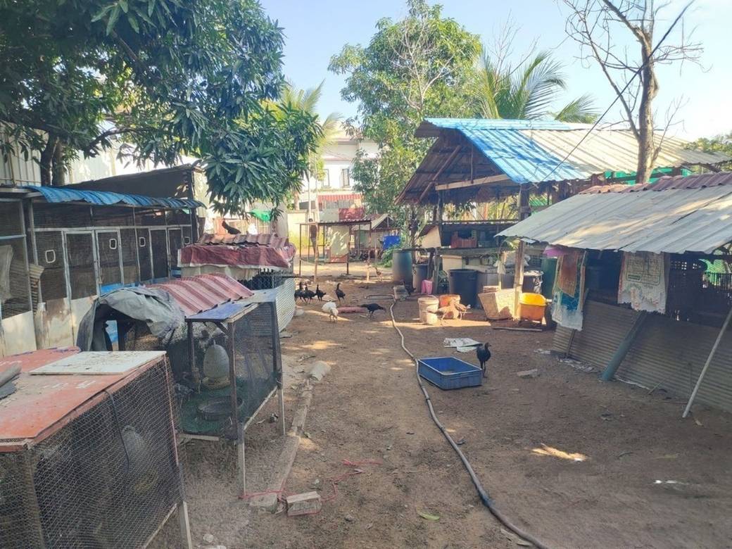 1,055 sqm Land Size House and lot For Sale