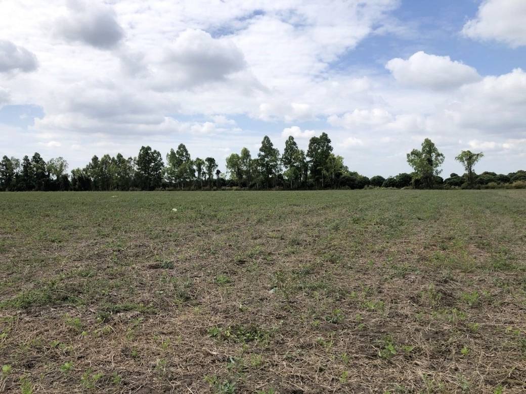 Lot For Sale in Ou Da, Kamrieng, Battambang